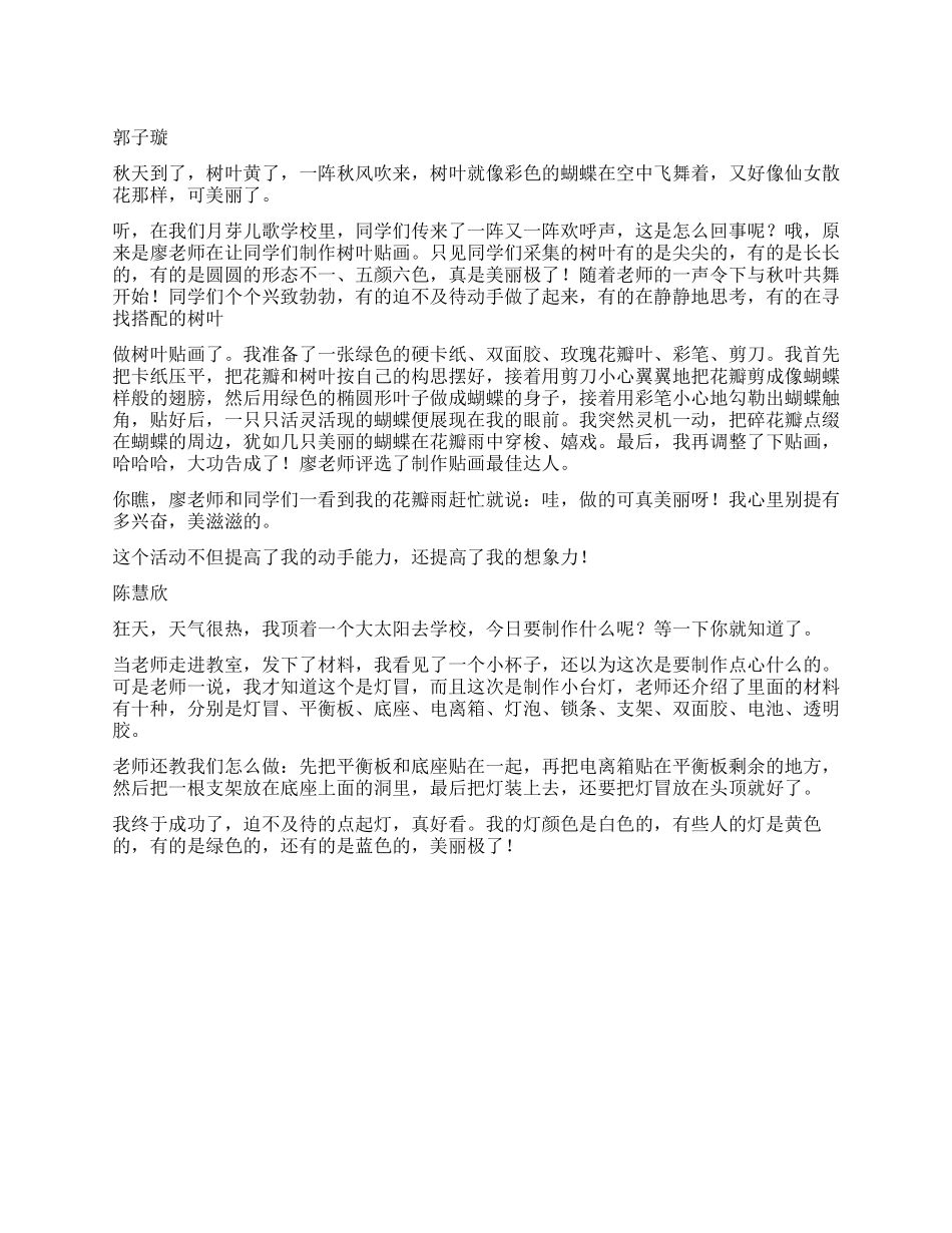 我的小制作作文300字_第1页