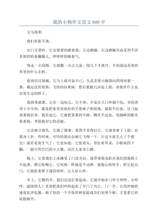 我的小狗作文范文800字