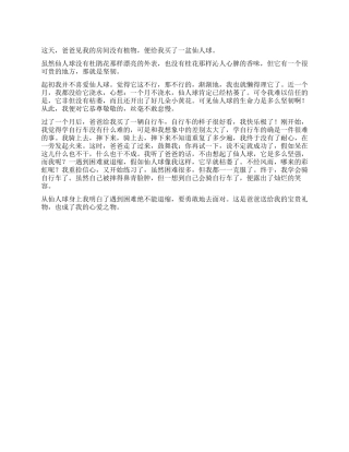 我的心爱之物作文500字