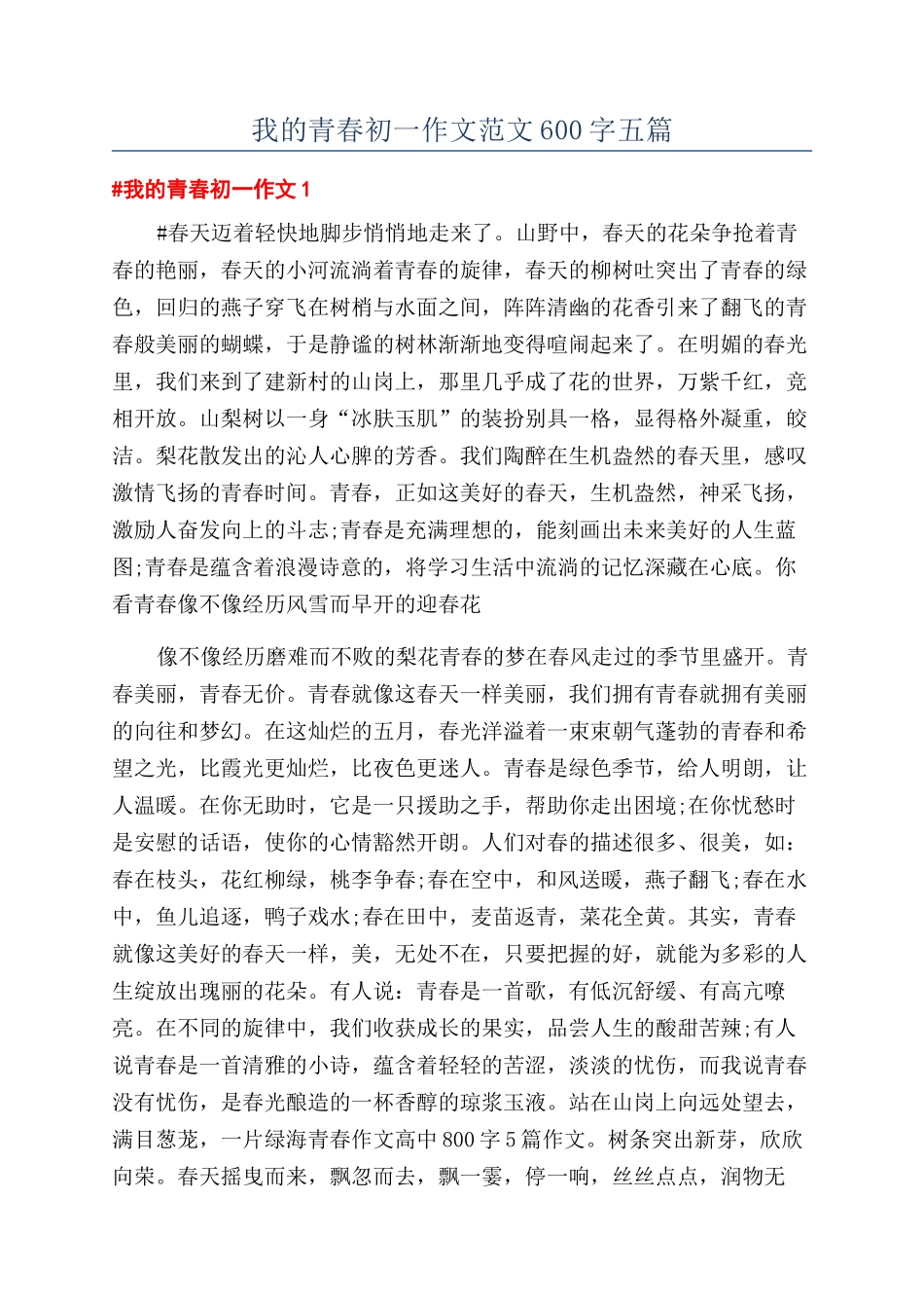 我的青春初一作文范文600字五篇_第1页