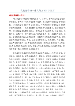 我的青春初一作文范文600字五篇