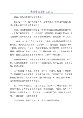 我眼中父亲作文范文