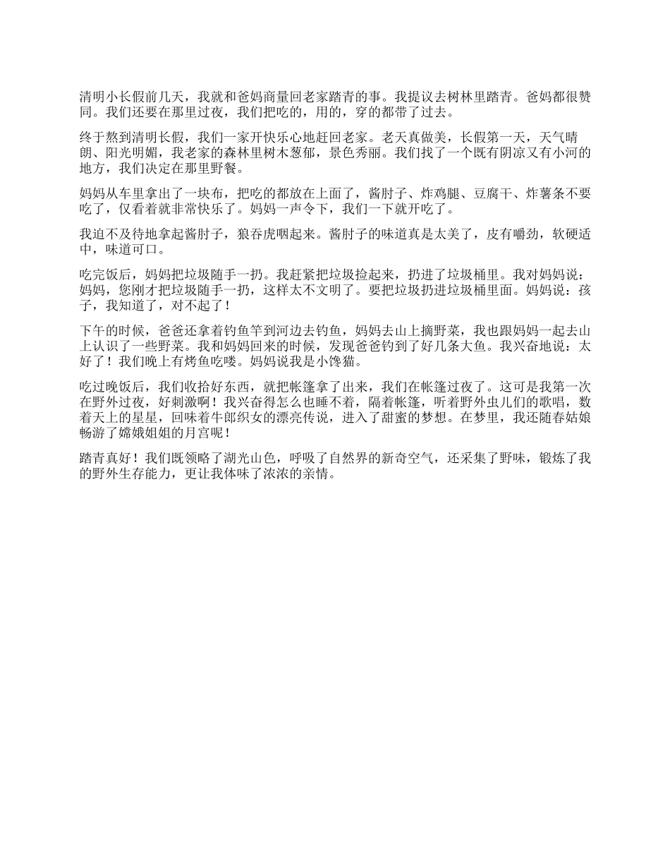 我跟爸妈去踏青作文600字_第1页