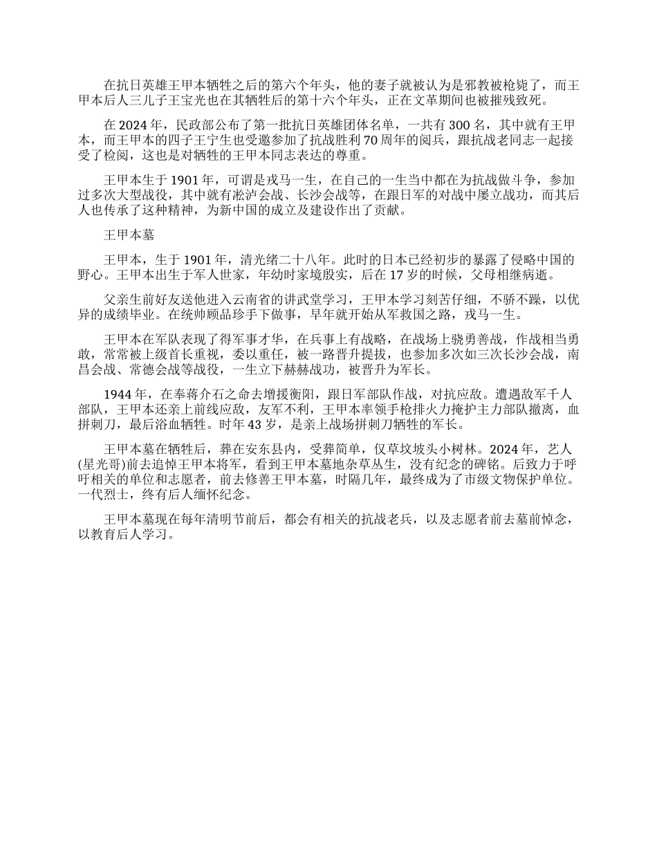 战斗英雄王甲本介绍大全_第2页