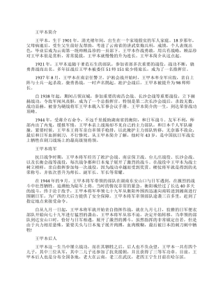 战斗英雄王甲本介绍大全