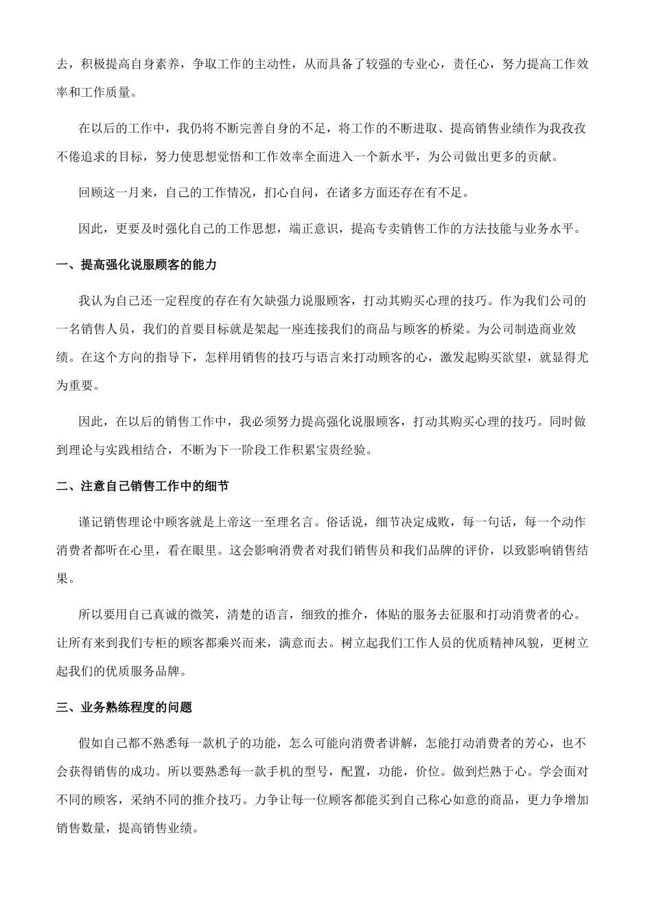 手机销售个人工作总结_第2页