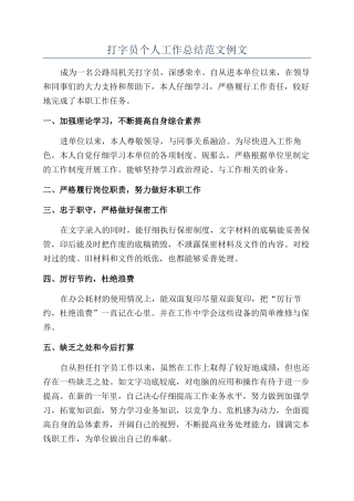 打字员个人工作总结范文例文