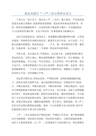 执法员践行“三严三实心得体会范文