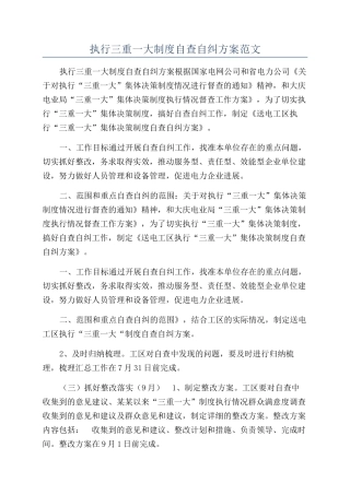 执行三重一大制度自查自纠方案范文