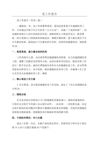 扶贫年度工作报告