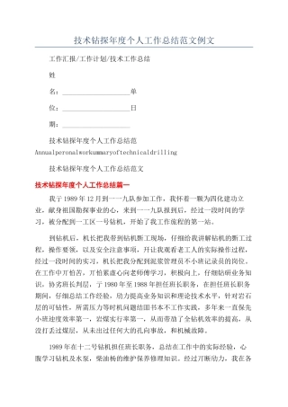 技术钻探年度个人工作总结范文例文