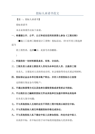 投标人承诺书范文