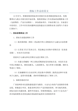 投标工作总结范文
