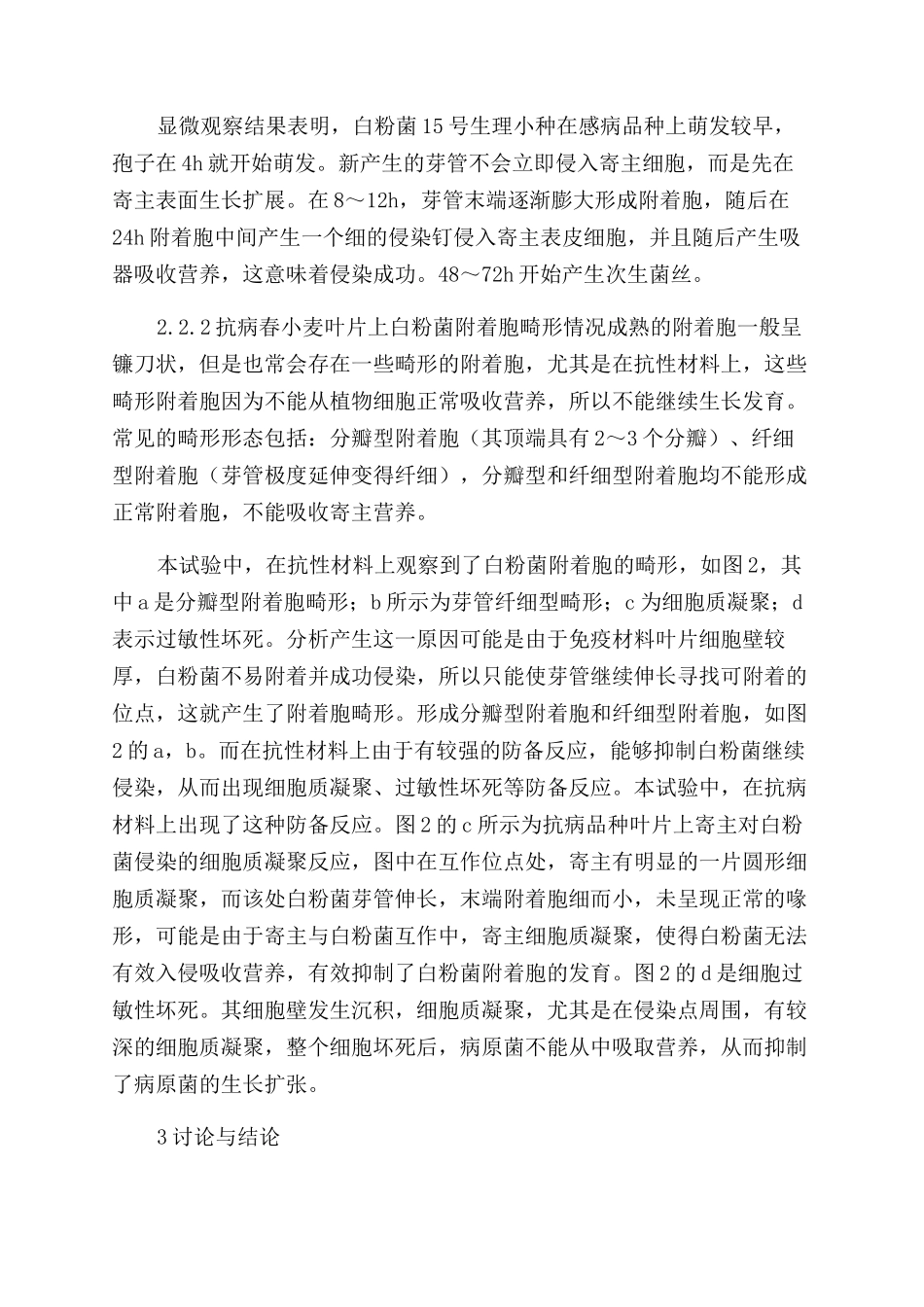 抗感白粉病春小麦感染白粉菌后抗病特性的细胞学观察_第3页