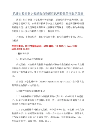 抗感白粉病春小麦感染白粉菌后抗病特性的细胞学观察