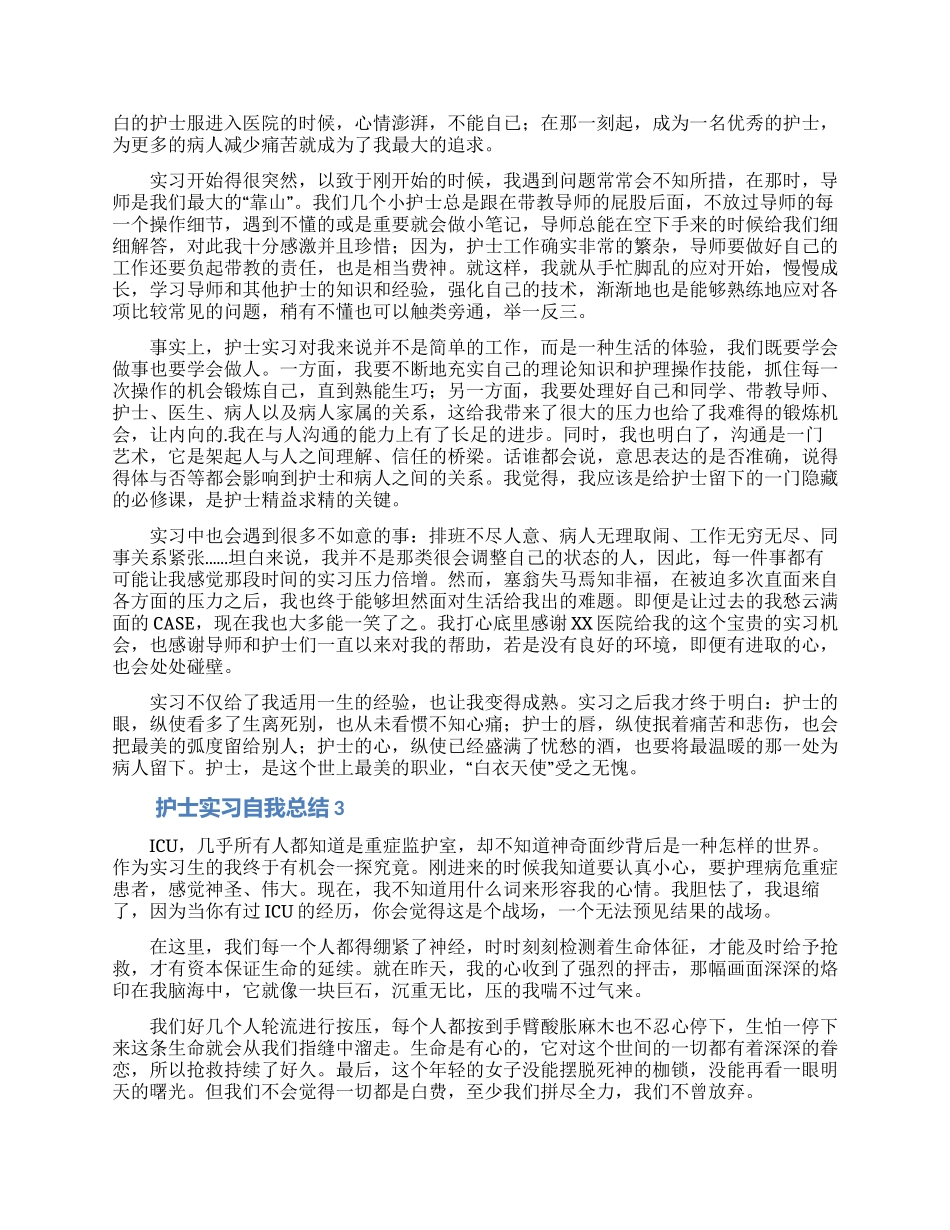 护士实习自我总结_第2页