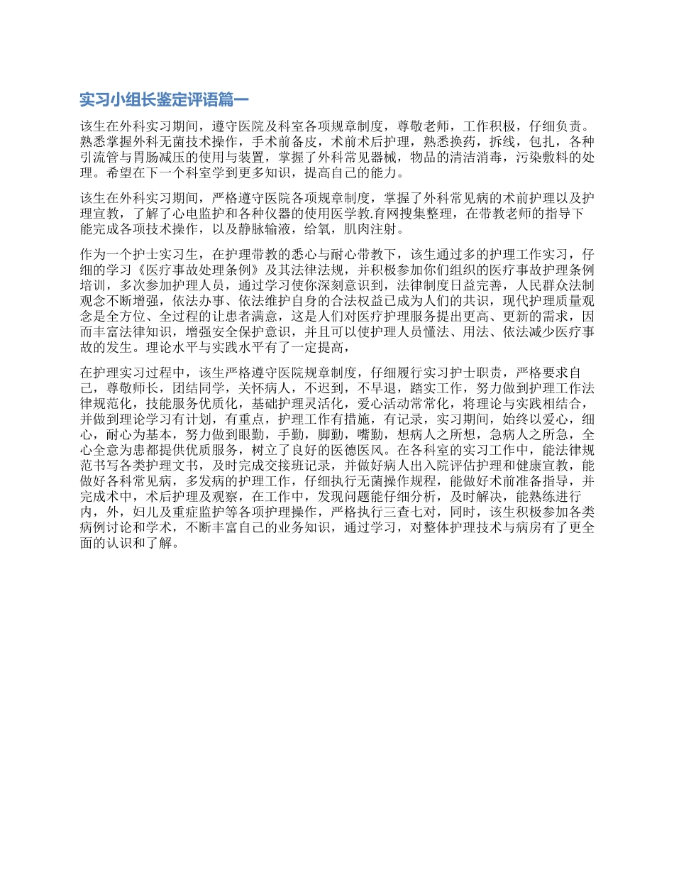 护士实习小组长鉴定评语_第1页