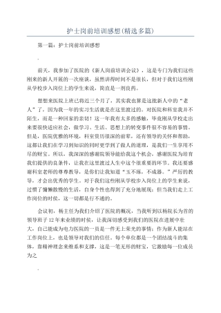 护士岗前培训感想