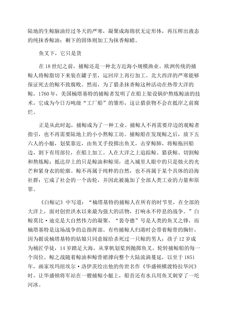 抹香鲸深渊的光明之鲸_第2页