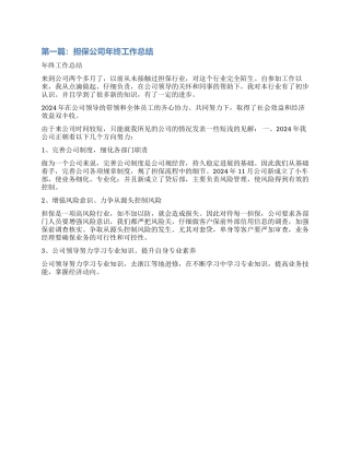 担保公司工作总结