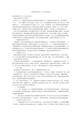 招标代理年终个人工作总结范文