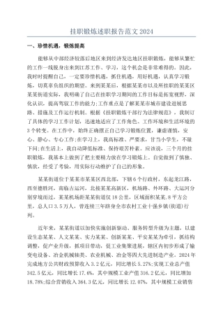 挂职锻炼述职报告范文2024