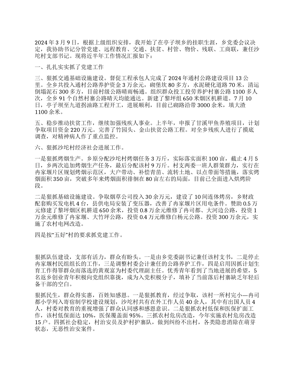挂职半年工作总结_第1页