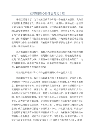 挂职锻炼心得体会范文3篇