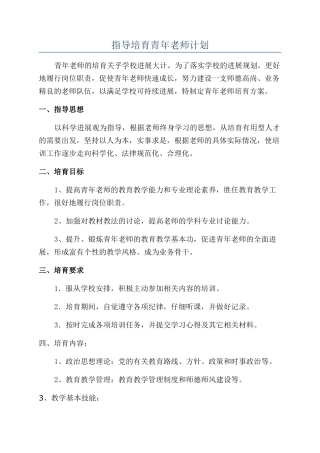 指导培养青年教师计划