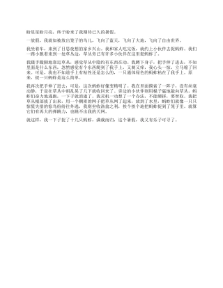 捉蚂蚱的作文400字