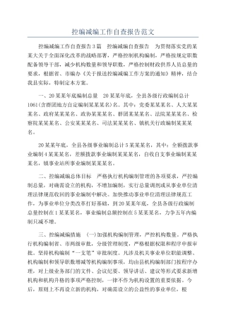 控编减编工作自查报告范文