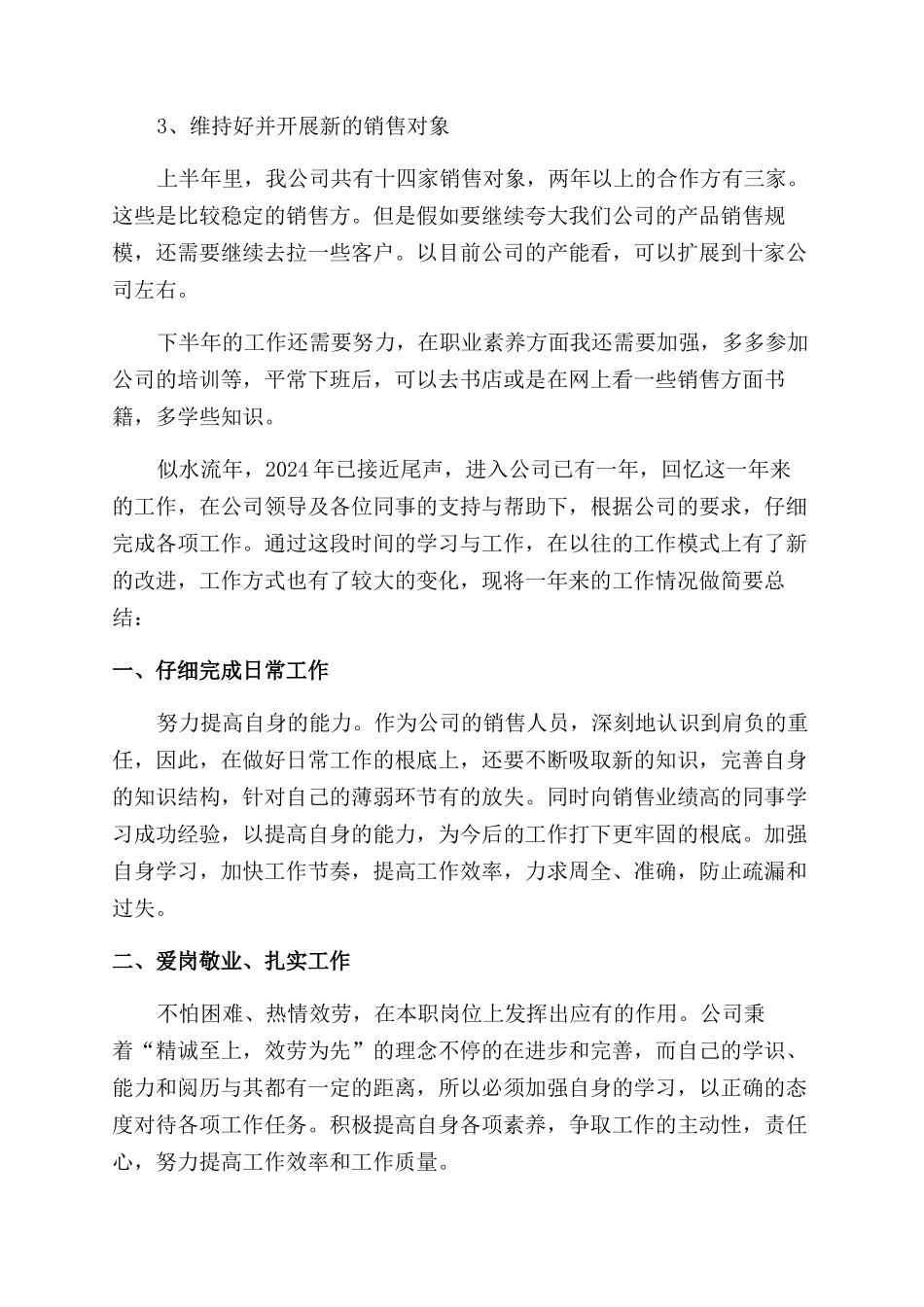 推销员个人工作总结范文_第2页