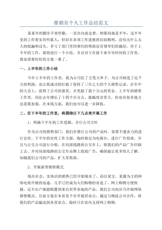 推销员个人工作总结范文
