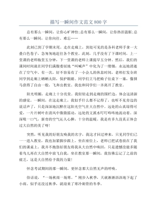 描写一瞬间作文范文800字
