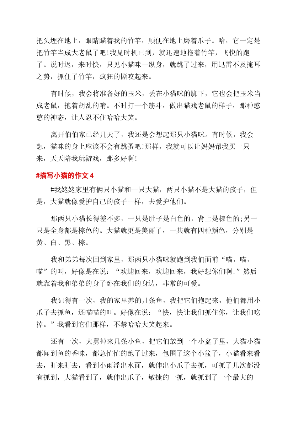 描写小猫的作文范文初二作文范文600字五篇_第3页