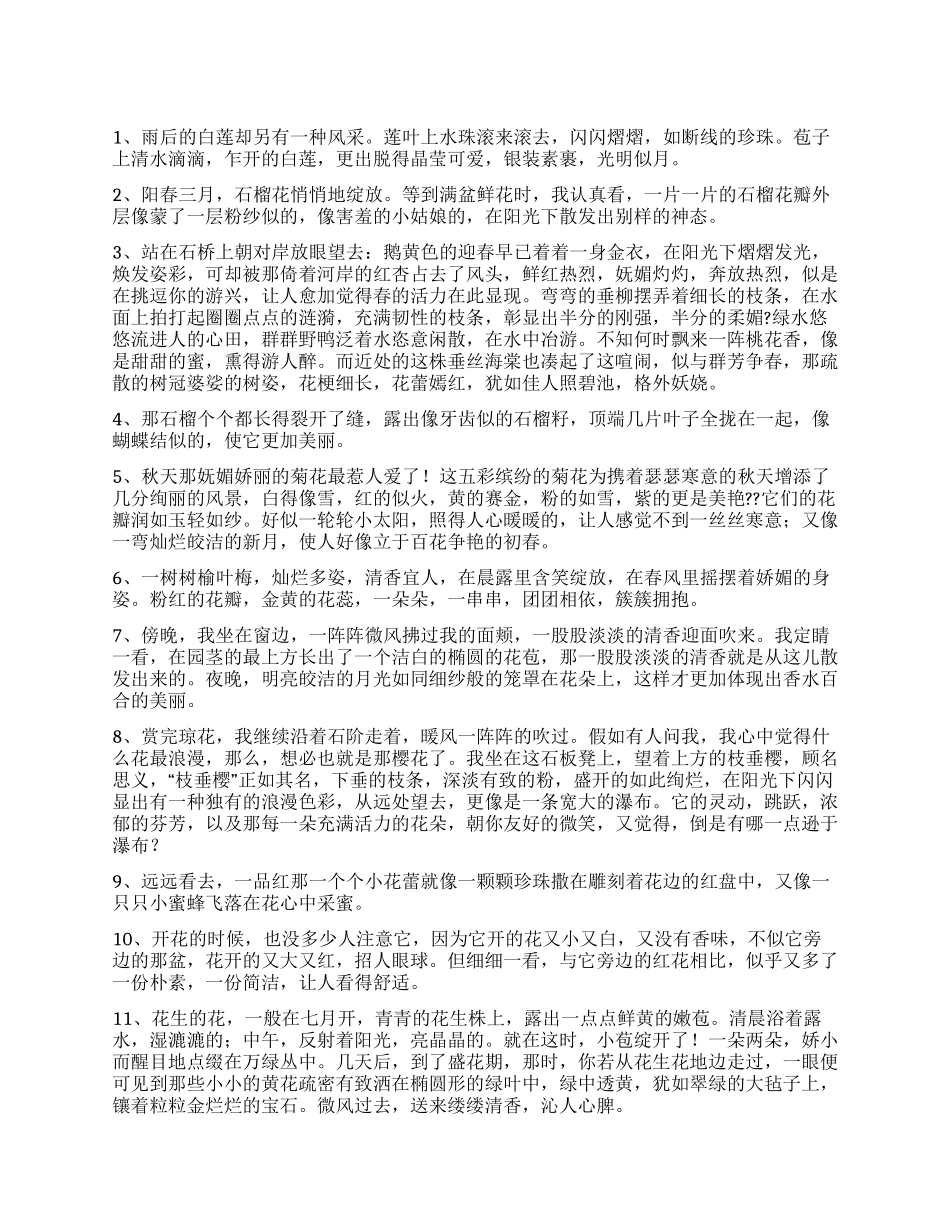 描写洛阳牡丹的优美句子_第1页