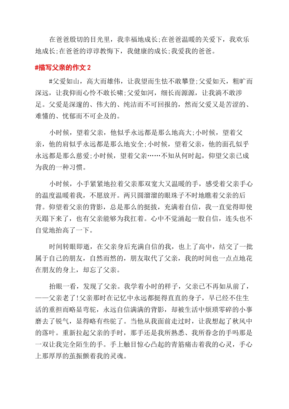 描写父亲的作文范文600字初二作文范文五篇_第2页