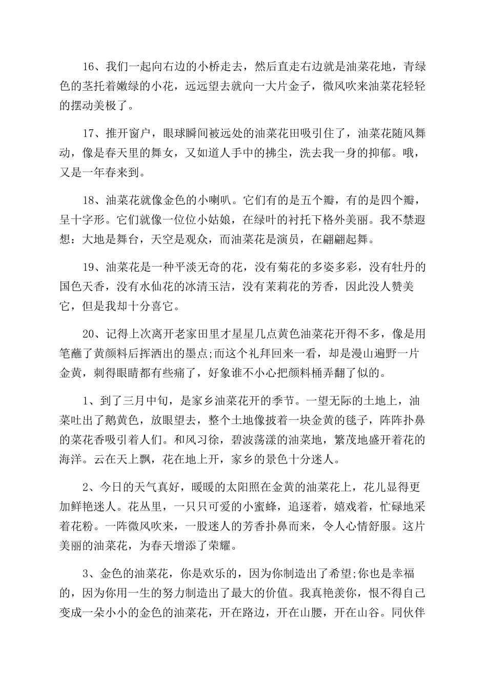 描写油菜花的句子大全_第3页