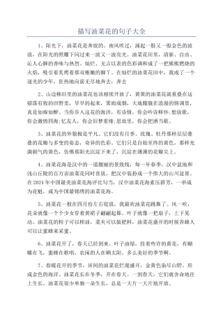 描写油菜花的句子大全