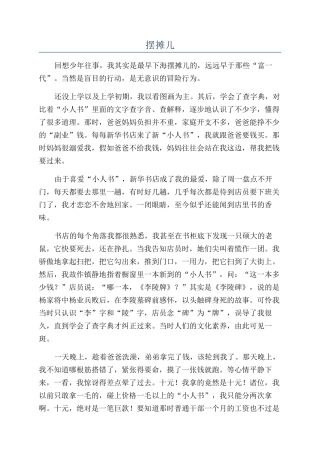 摆摊儿-精品文档