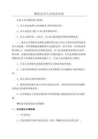 攀枝花市失业创业补助