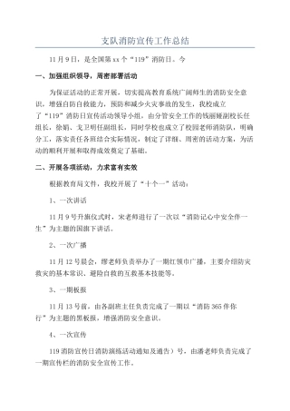支队消防宣传工作总结