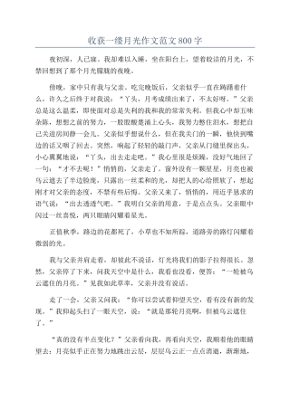 收获一缕月光作文范文800字