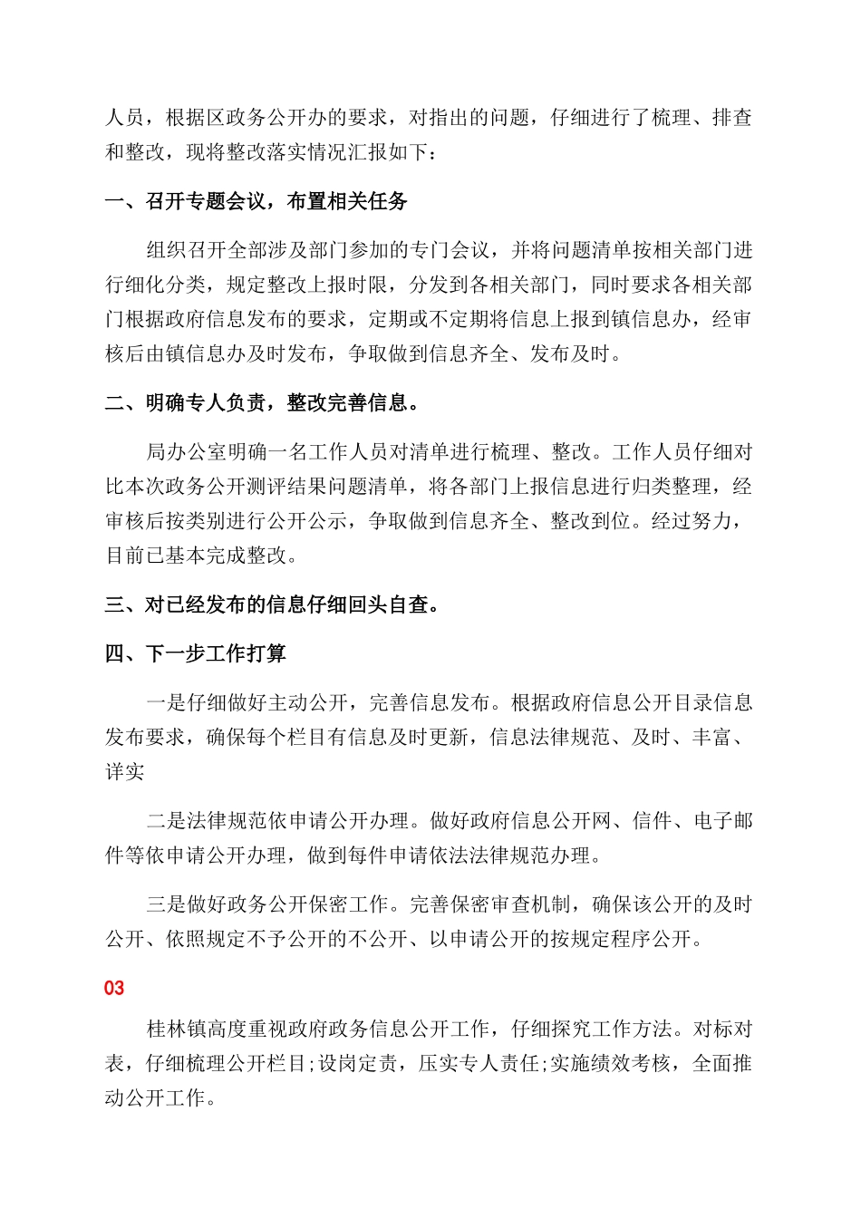 政务公开自查报告范文_第2页