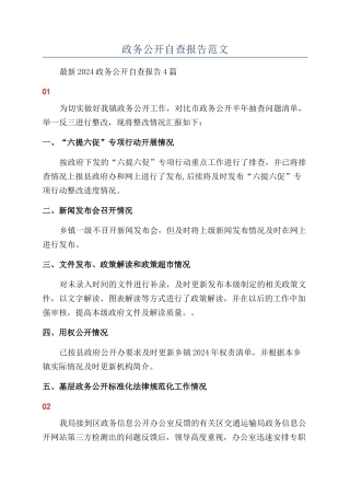 政务公开自查报告范文