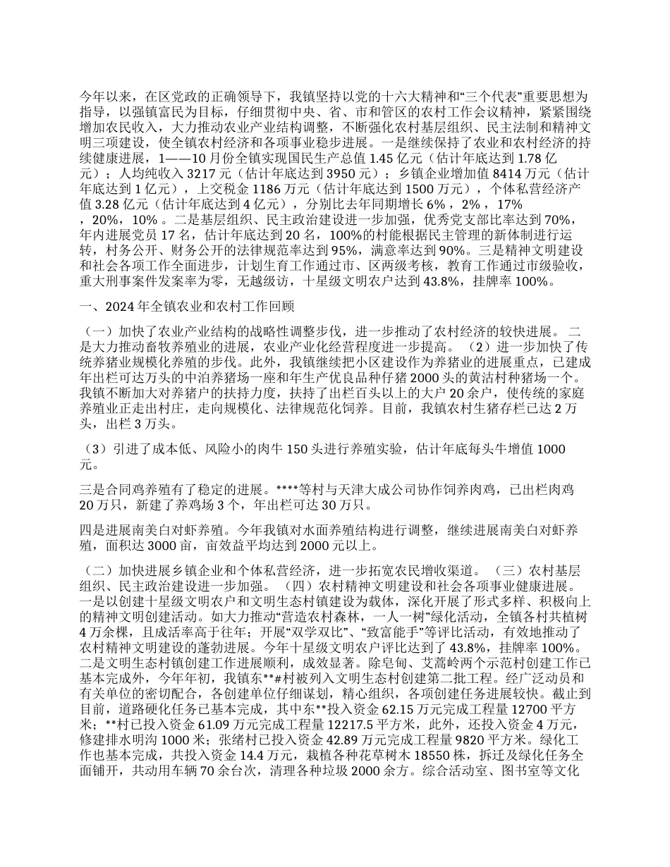 政府2024年工作总结和2024年工作计划_第1页