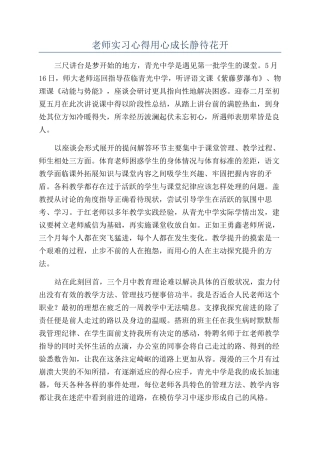 教师实习心得用心成长静待花开