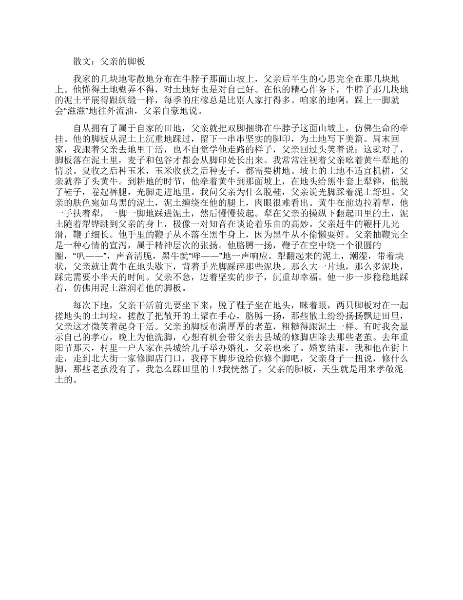散文父亲的脚板_第1页