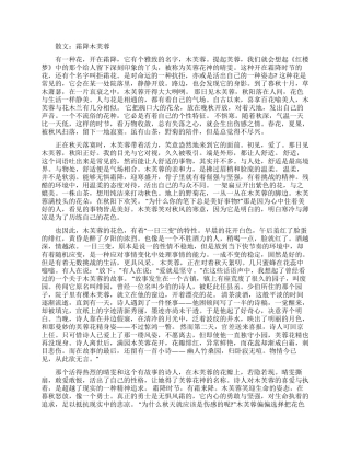 散文霜降木芙蓉