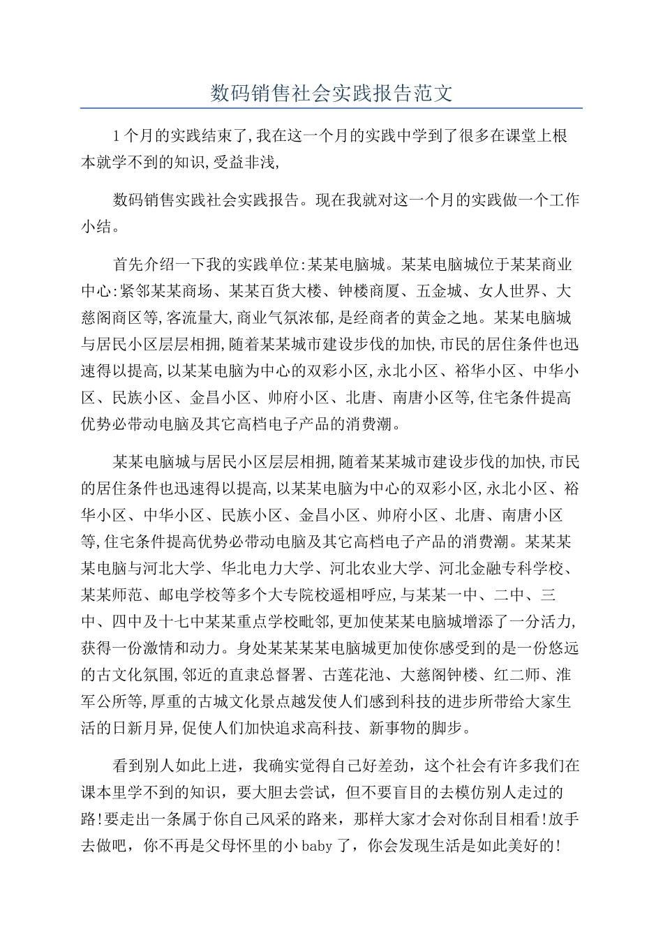 数码销售社会实践报告范文_第1页